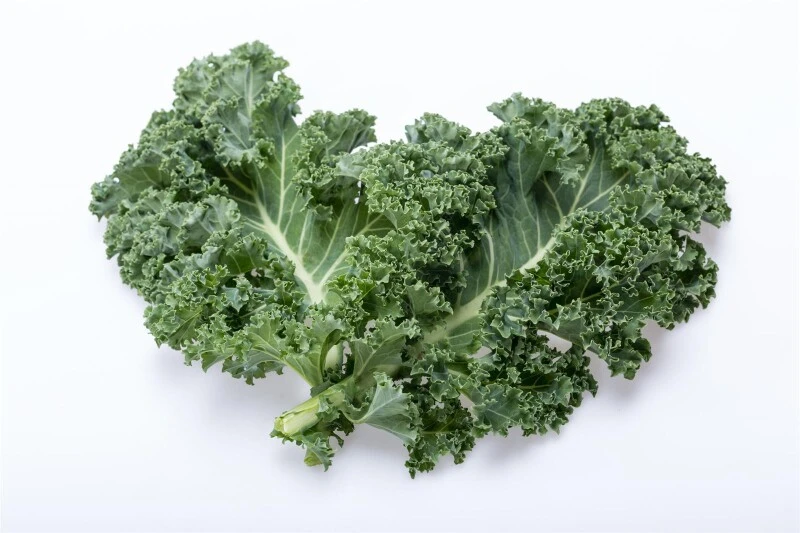 Grünkohl Halbhoher Grüner Krauser MAXIPACK 25g