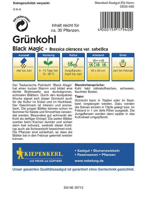 Grünkohl Palmkohl Black Magic – Bild 2