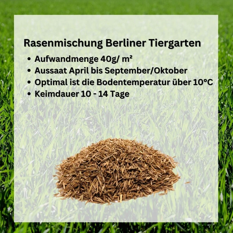 GardenTaurus® Rasenmischung `Berliner Tiergarten´Inhalt: 1kg Für 25 M² – Bild 5