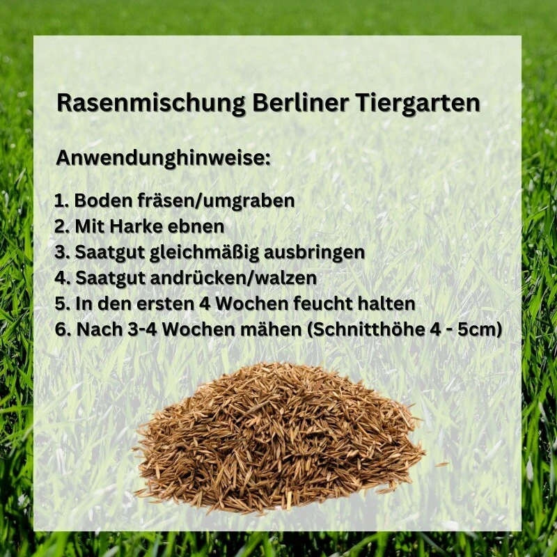 GardenTaurus® Rasenmischung `Berliner Tiergarten´Inhalt: 1kg Für 25 M² – Bild 6