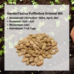 GardenTaurus® Puffbohnen (Große Bohne) "Driemal Wit", Inhalt 1kg