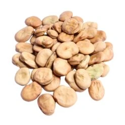 GardenTaurus Puffbohnen | 50g - 1kg | (Grosse Bohnen) Frühe Weißkeimige "Witkiem"