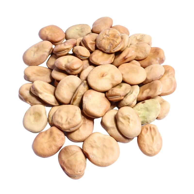 GardenTaurus Puffbohnen | 50g - 1kg | (Grosse Bohnen) Frühe Weißkeimige "Witkiem"