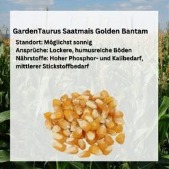 GardenTaurus®Zuckermais Golden Bantam Sehr Süß Frühreifende Sorte 50g - 1000g Packung