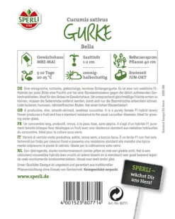 Gurke Salatgurke Bella F1rein Weiblich