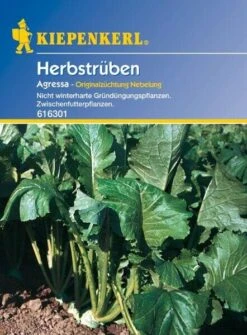 Herbstrüben Gründünger 500gr