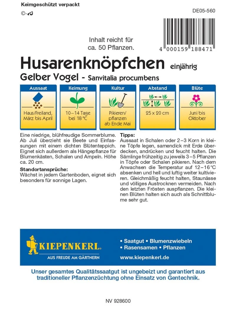 Husarenköpfchen Gelber Vogel, Niedrig Wachsende Sommerblume Ist Eine Echte Zierde Für Einfassungen Blumenkästen Und Ampeln