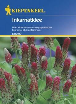 Inkarnatklee Gründünger Portion 75g