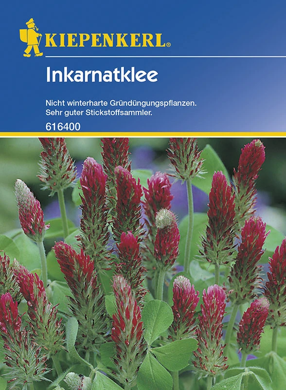 Inkarnatklee Gründünger Portion 75g