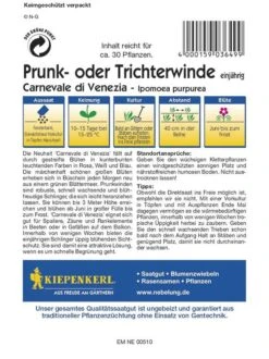 Ipomoea Purpurea Prunkwinde Carneval Di Venezia Gestreifte Mischung