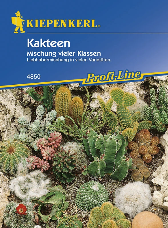 Kakteen Mischung, Besonders Pflegeleicht, Liebhabermischung In Vielen Varietäten