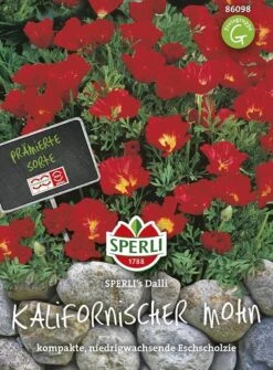 Kalifornischer Mohn Schlafmützchen Dalli