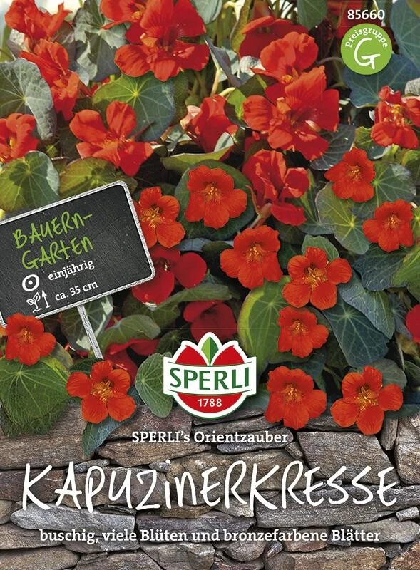 Kapuzinerkresse Orientzauber – Bild 2