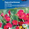 Kapuzinerkresse Pink Princess, Intensiv Pink Leuchtend, Ideal Für Töpfe Kübel Und Ampel, Essbar, Nahrungsquelle Für Nützlinge Und Insekten
