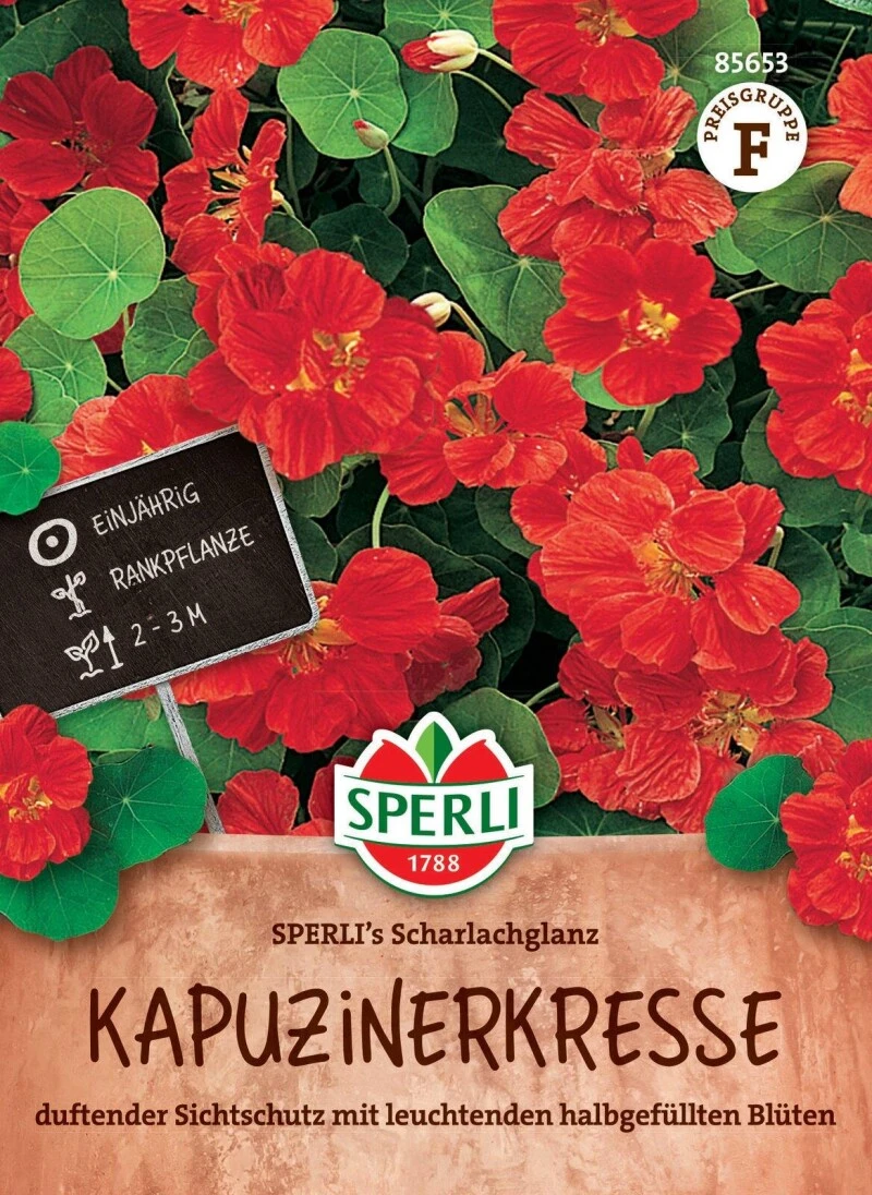Kapuzinerkresse SPERLI's Scharlachglanz, Duftender Sichtschutz, Rankpflanze, Sperli – Bild 2