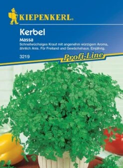 Kerbel Massa, Schnellwüchsiges Küchenkraut Mit Angenehm Würzigem Aroma (ähnlich Anis), Für Freiland Und Gewächshaus
