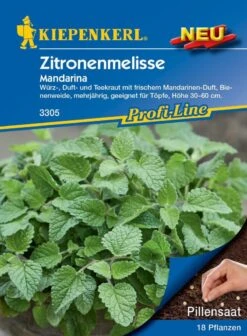 Zitronenmelisse Mandarina (Pillensaat), Würz-, Duft- Und Teekraut, Mehrjährig, Topfkultur Geeignet