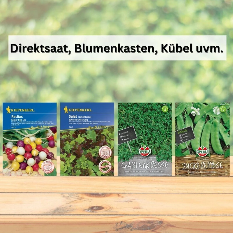 Gärtnern Mit Kindern | Saatgut Sparset Bunte Auswahl Gemüsesamen Für Gemüse Zum Naschen – Bild 2