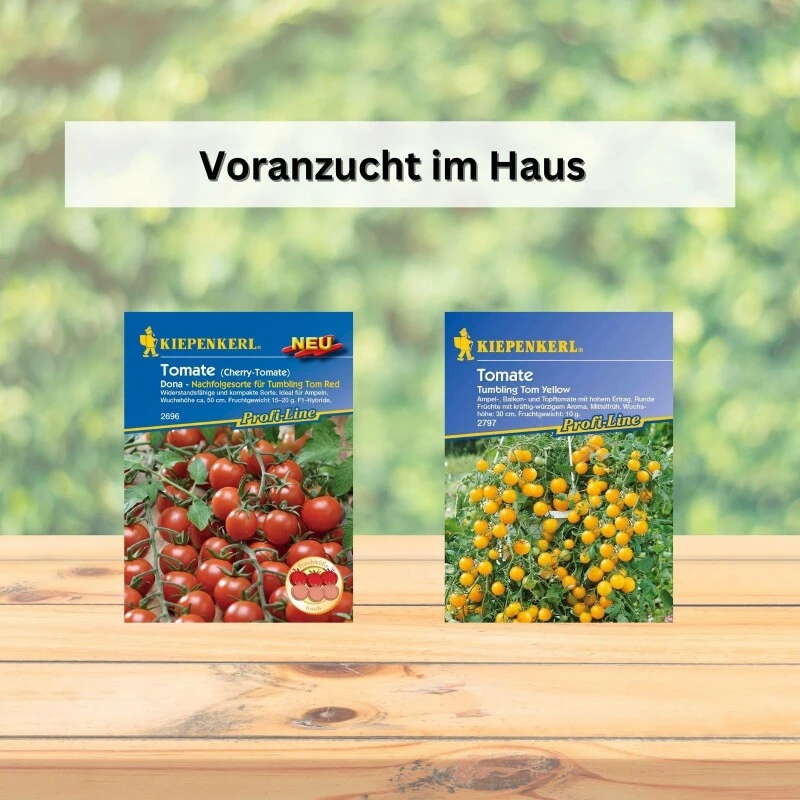 Gärtnern Mit Kindern | Saatgut Sparset Bunte Auswahl Gemüsesamen Für Gemüse Zum Naschen – Bild 5