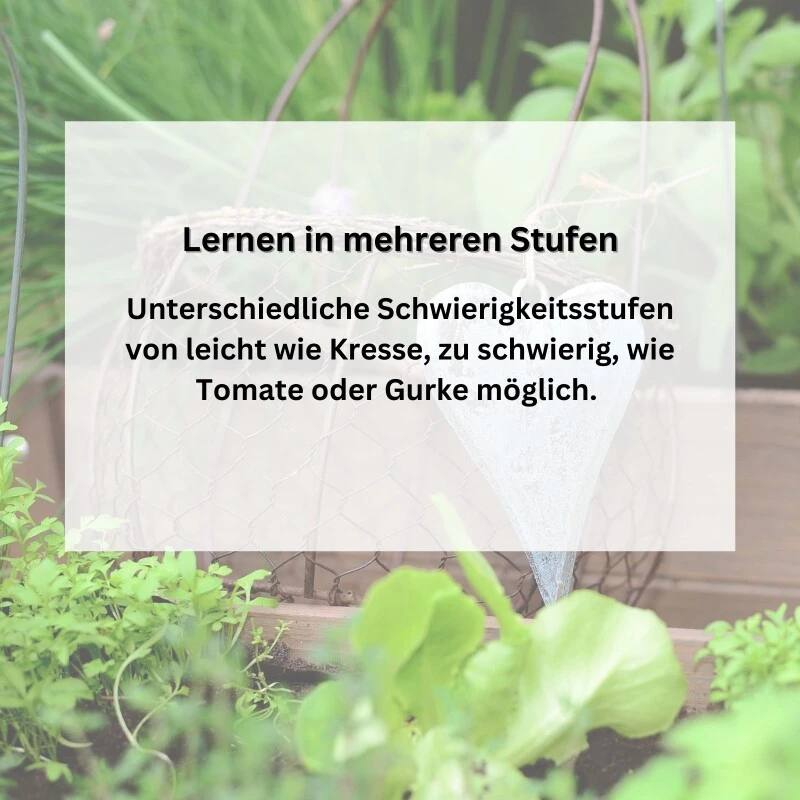 Gärtnern Mit Kindern | Saatgut Sparset Bunte Auswahl Gemüsesamen Für Gemüse Zum Naschen