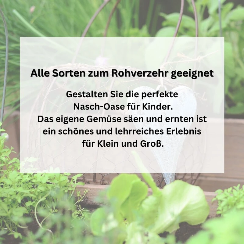 Gärtnern Mit Kindern | Saatgut Sparset Bunte Auswahl Gemüsesamen Für Gemüse Zum Naschen – Bild 4