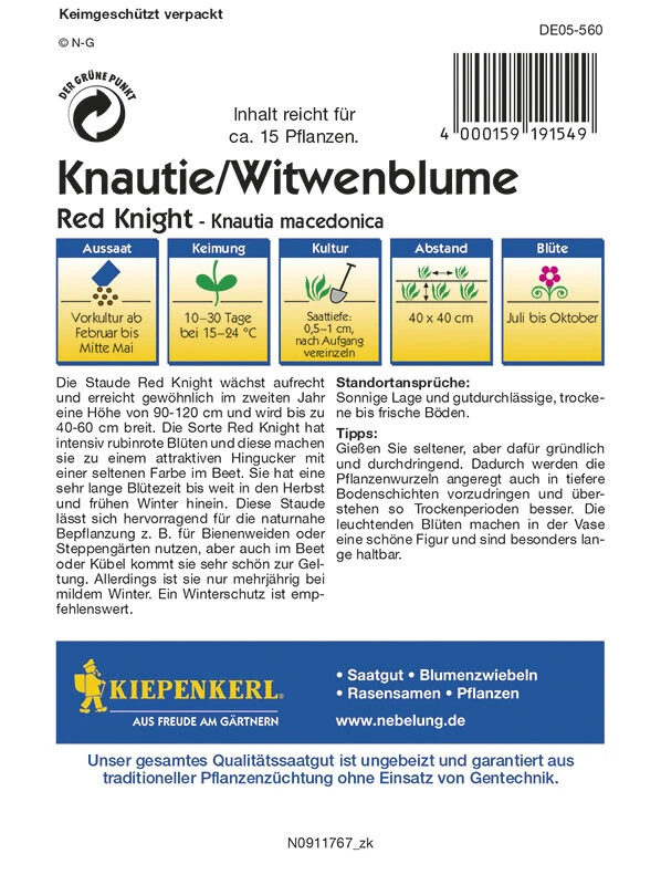 Knautie / Witwenblume Red Knight, Intensiv Rubinrote Blüten Mit Sehr Langer Blütezeit – Bild 2
