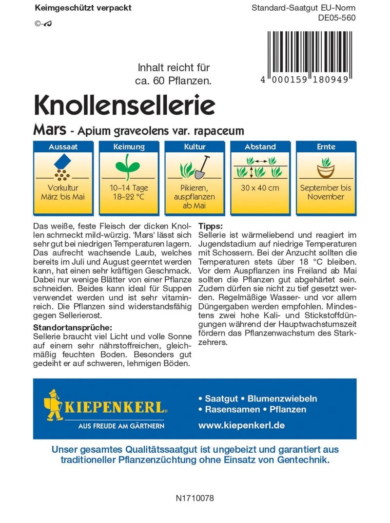 Knollensellerie Mars, Lagerfähige Große Knollen, Widerstandsfähig Gegen Sellerierost – Bild 3