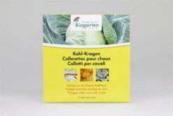 Kohl - Kragen 25 Stück