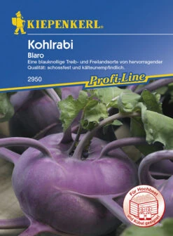 Kohlrabi Blaro Blau