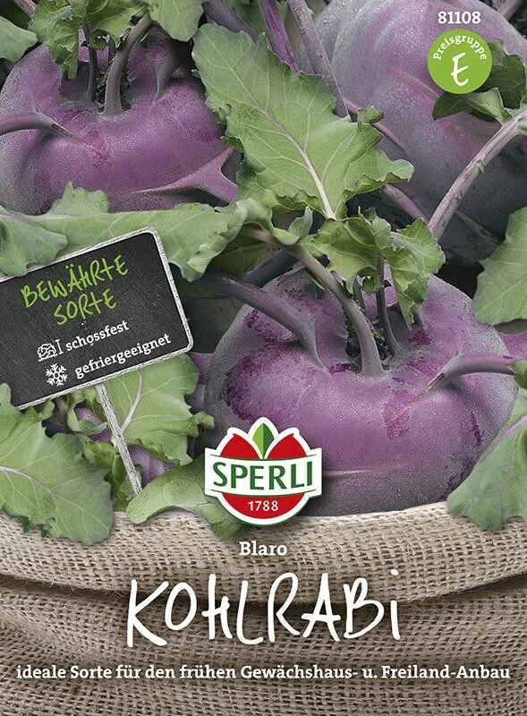 Kohlrabi Blaro,für Den Treib- Und Freilandanbau – Bild 2
