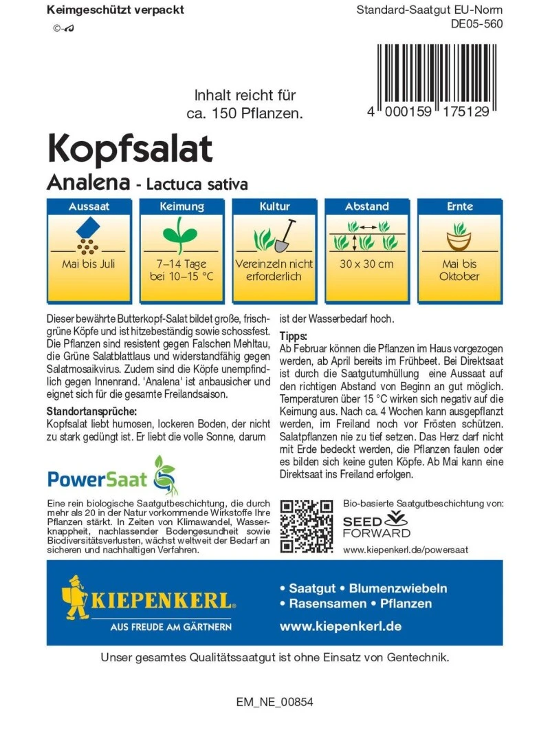 Kopfsalat Analena (PowerSaat), Hitzebeständig Schossfest Resistent Und Widerstandfähig
