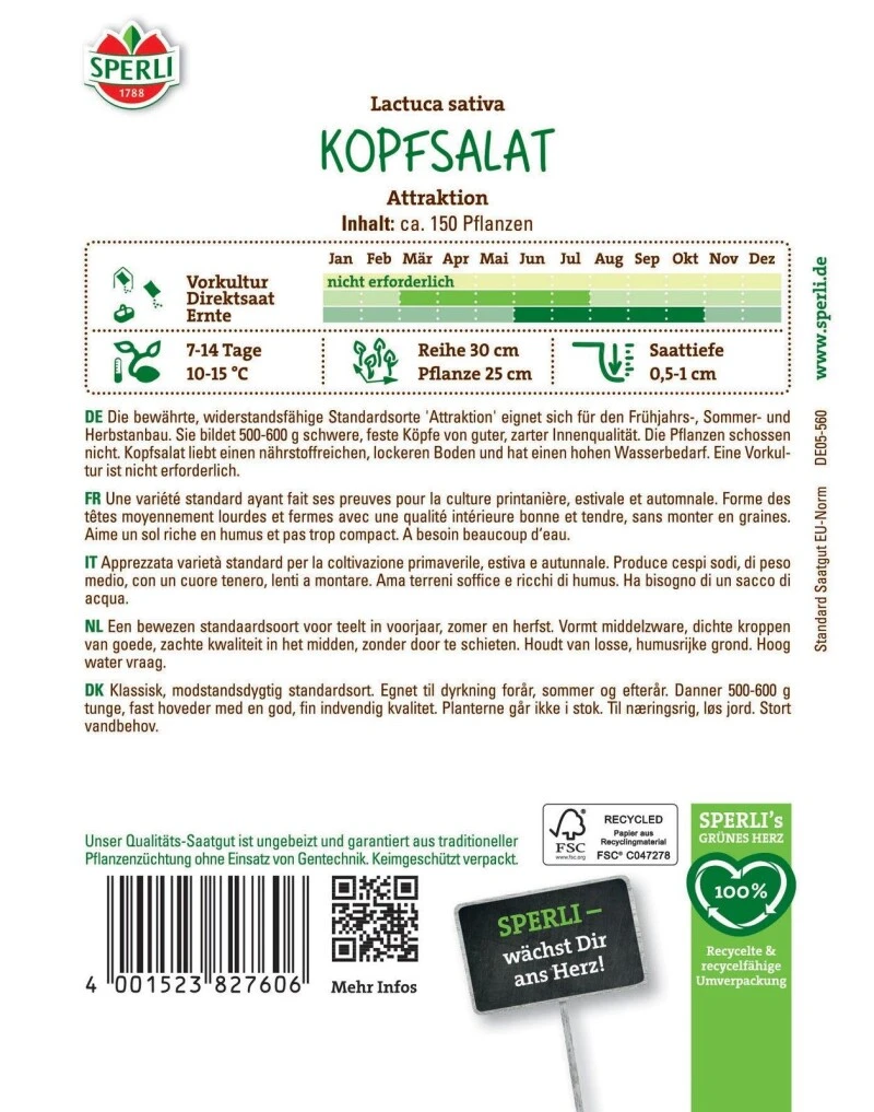 Kopfsalat Attraktion, Widerstandsfähig, Schossfest, Bewährter Typ, Feste Köpfe, Saatgut Von Sperli – Bild 2