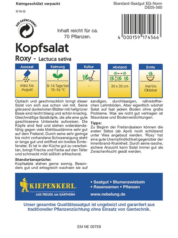 Kopfsalat Roxy Rot, Widerstandsfähig, Sehr Gut Für Den Freilandanbau – Bild 2