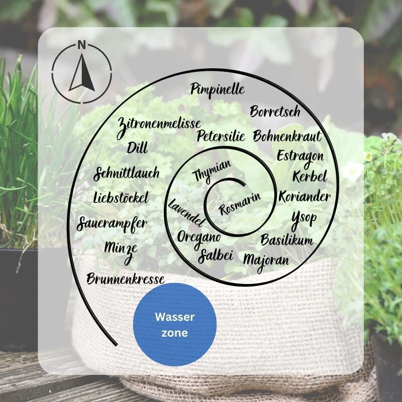 Kräuterspirale Anlegen, Verschiedene Saatgut Sparsets Mehrere Größen – Bild 2