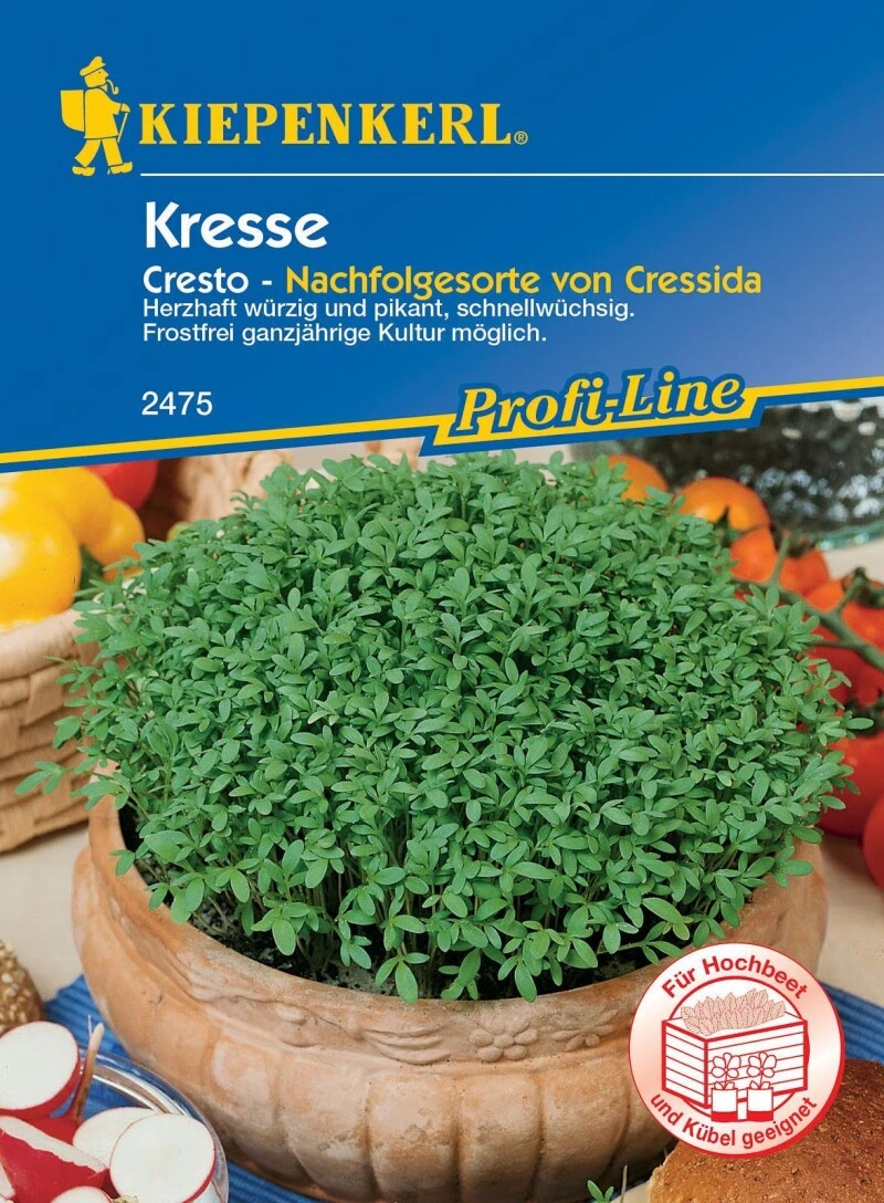 Kresse Cresto, Hoher Vitamingehalt, Klassiker Für Die Schnelle Schmackhafte Würzküche – Bild 3