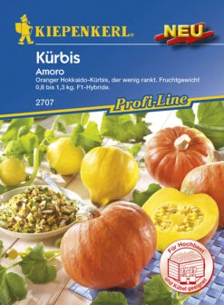 Kürbis Amoro F1