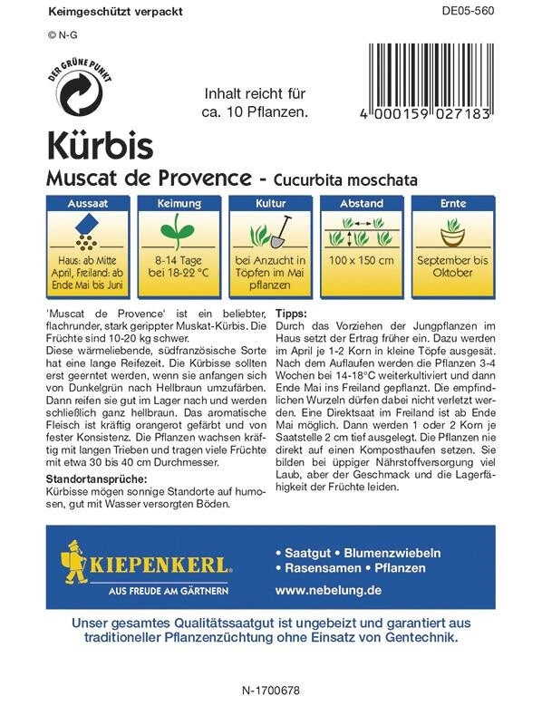 Kürbis Muskatkürbis Muscat De Provence – Bild 2