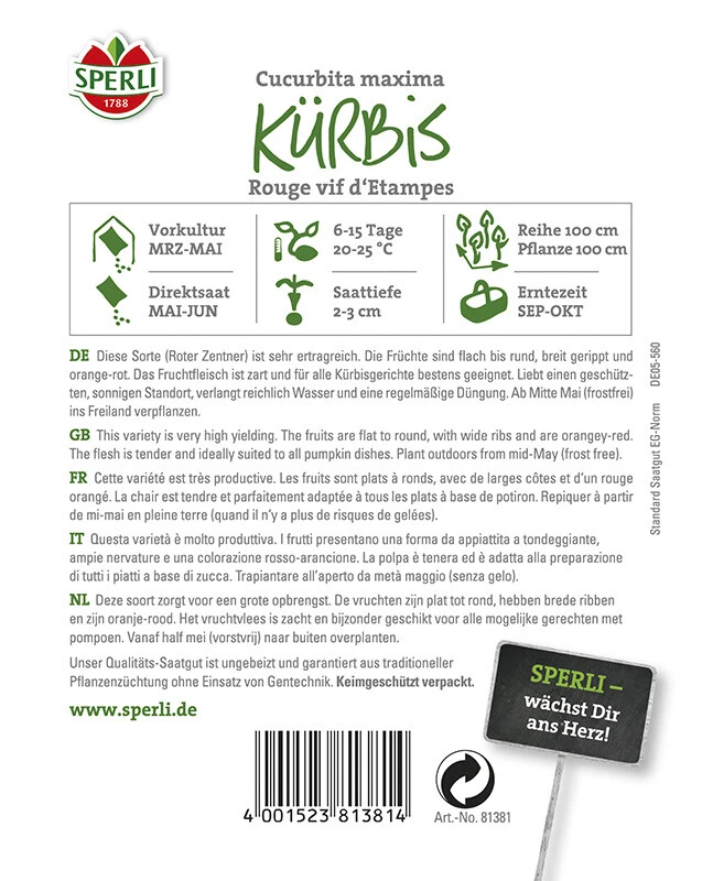 Kürbis Rouge Vif D’Etampes | Sehr Zartes Fruchtfleisch |für Kürbisgerichte Aller Art Geeignet