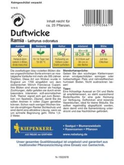 Lathyrus Oduratus Edelwicken Ramia Violettblau