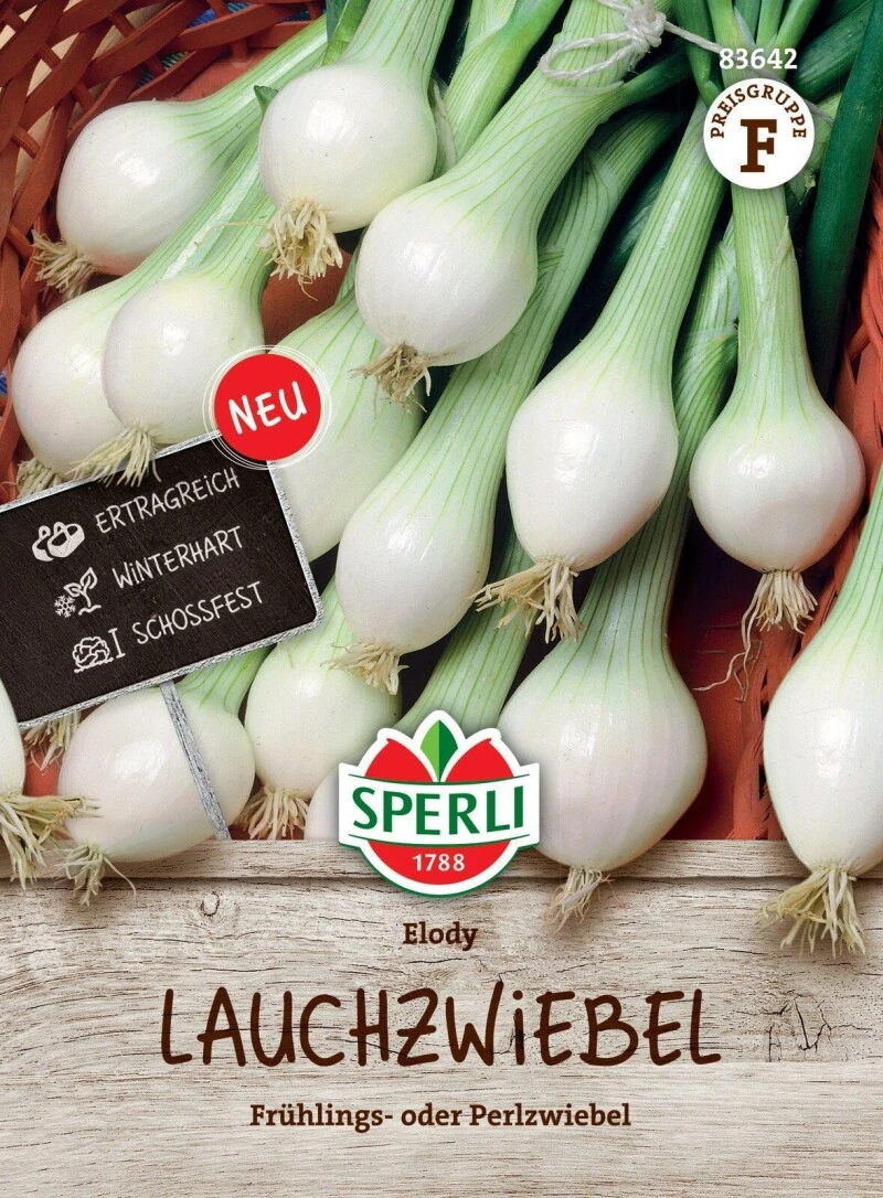 Lauchzwiebel Elody (Frühlingszwiebel/ Perlzwiebel), Ertragreiche Und Schossfeste Sorte, Winterhart – Bild 2