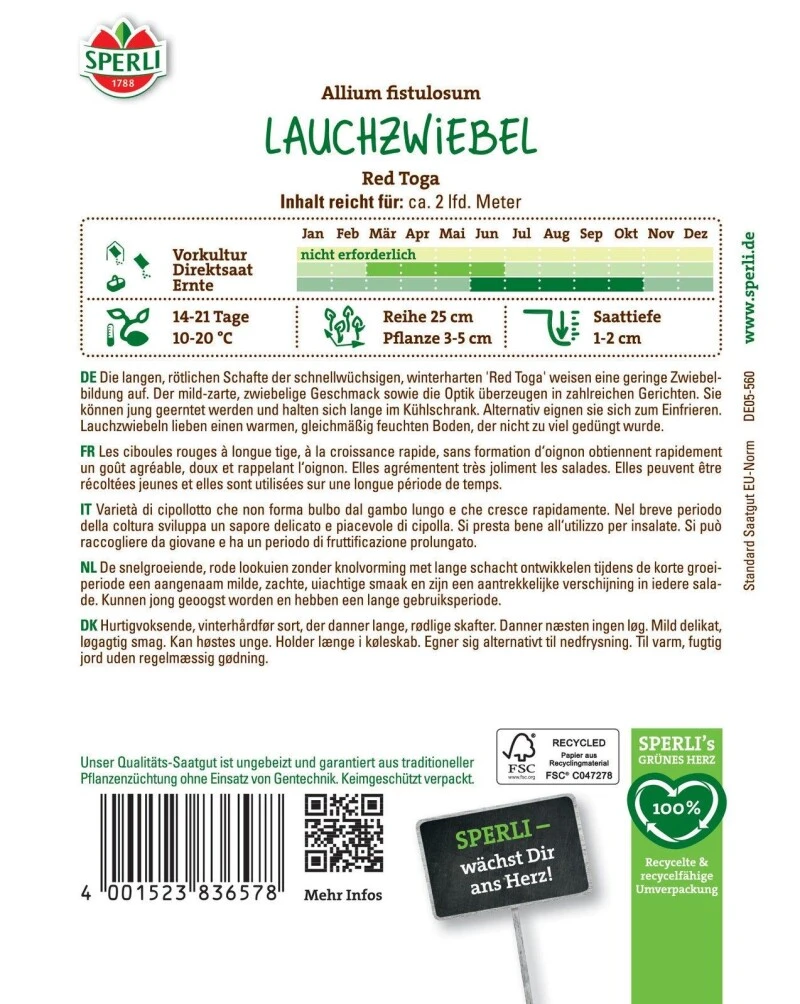Lauchzwiebel Red Toga, Geringe Zwiebelbildung, Frostbeständig, Kübel-, Und Gefriergeeignet – Bild 2