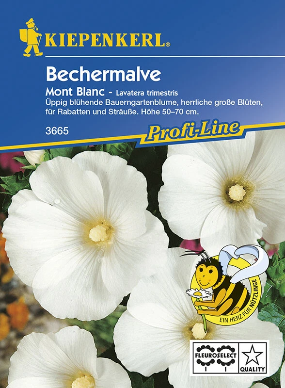 Lavatera Bechermalve Mont Blanc Weiss