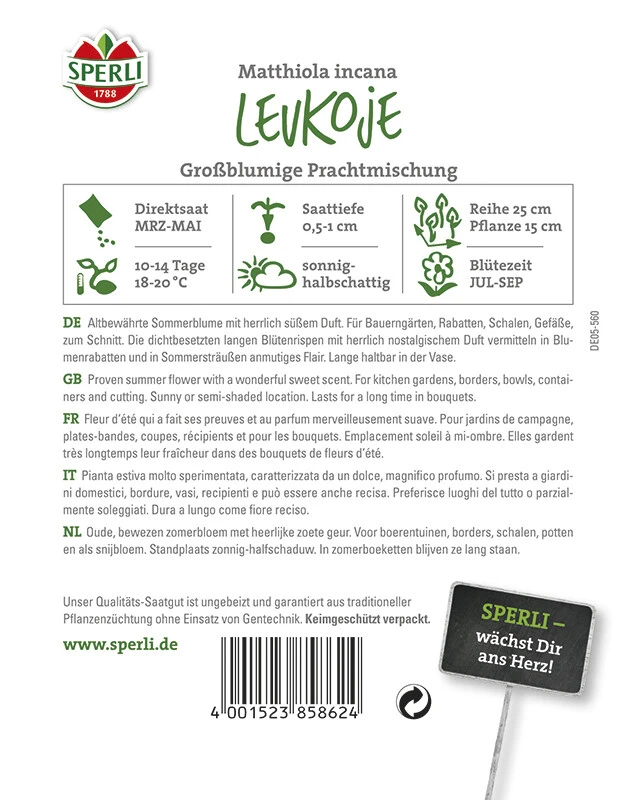 Levkoje Großblumige Mischung – Bild 2