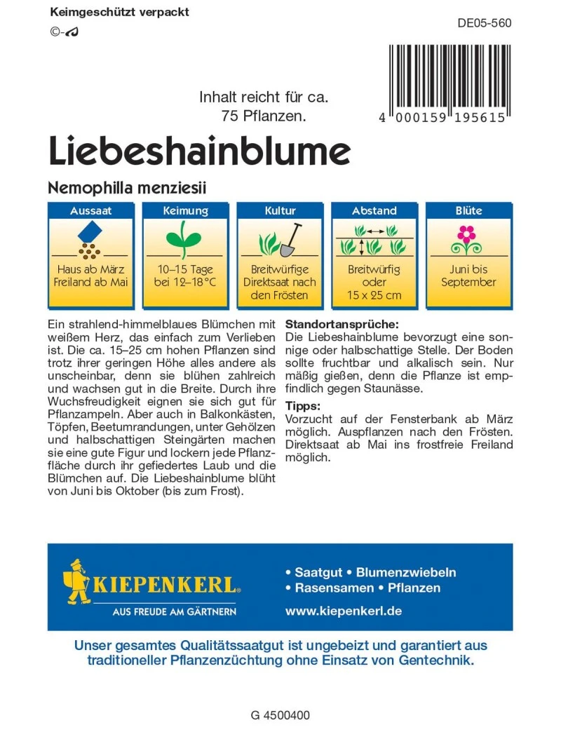 Liebeshainblume, Strahlend-himmelblaues Blümchen Mit Weißem Herz, Blüht Von Juni Bis September – Bild 2
