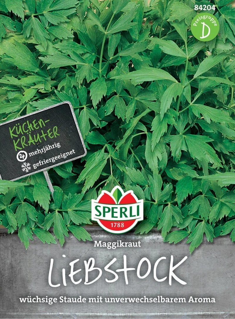 Liebstock Maggikraut, Für Wassertreibende Teemischungen Magen- Und Blutreinigungstees – Bild 2