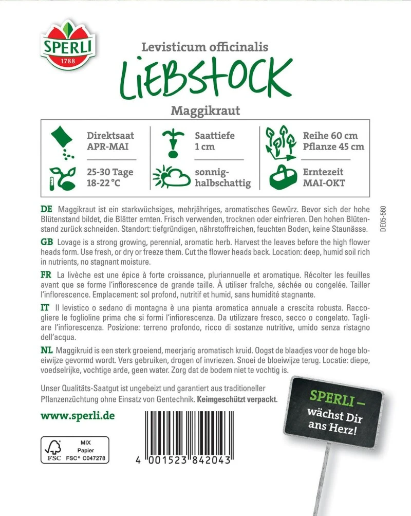 Liebstock Maggikraut, Für Wassertreibende Teemischungen Magen- Und Blutreinigungstees – Bild 3