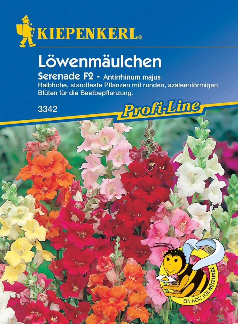 Löwenmäulchen Serenade F1, Halbhohe Standfeste Pflanzen Ideal Für Die Beetbepflanzung Zwischen Stauden Und Anderen Sommerblumen – Bild 3
