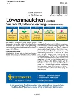 Löwenmäulchen Serenade F1, Halbhohe Standfeste Pflanzen Ideal Für Die Beetbepflanzung Zwischen Stauden Und Anderen Sommerblumen