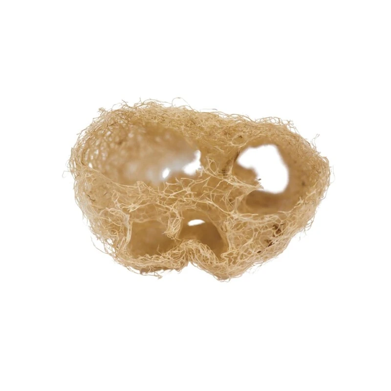 Le Gurque – Luffaschwamm, Zum Hängen – Bild 8