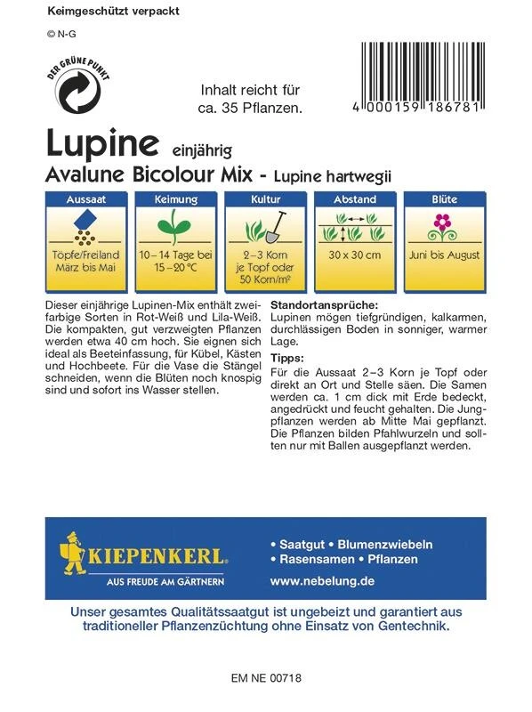 Lupine Hartwegii Avalune Bicolour Mix